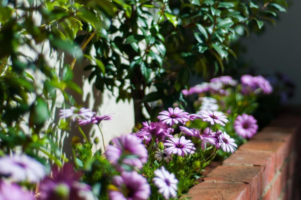 Doncaster Cottages Port Elizabeth Ngoại thất bức ảnh